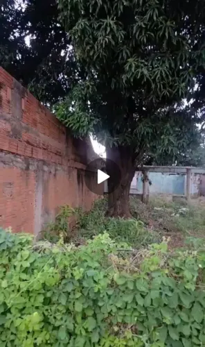 Terreno 