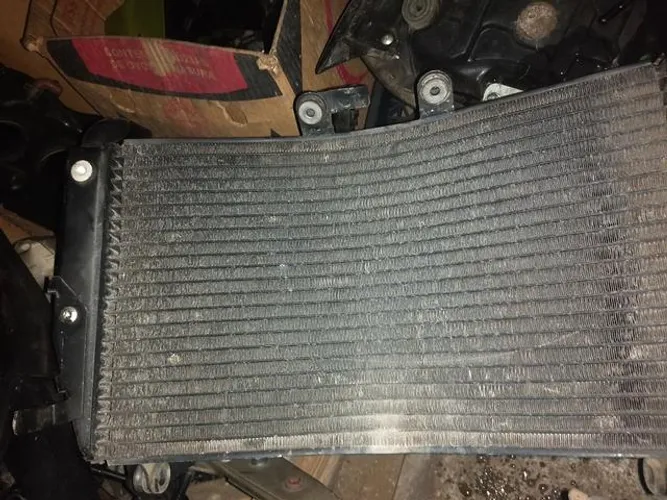 Radiador de água da taiger 1200