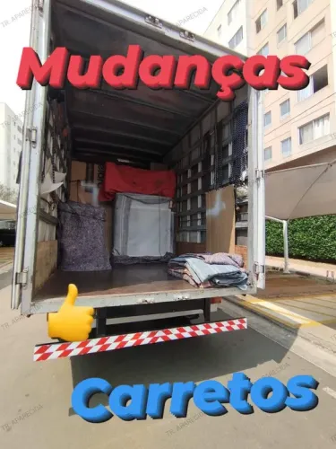 MUDANÇAS E FRETES