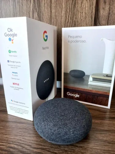 Google - Assistente de voz | em LAGARTO