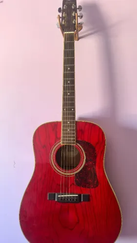 Violao George Washburn D11/TR