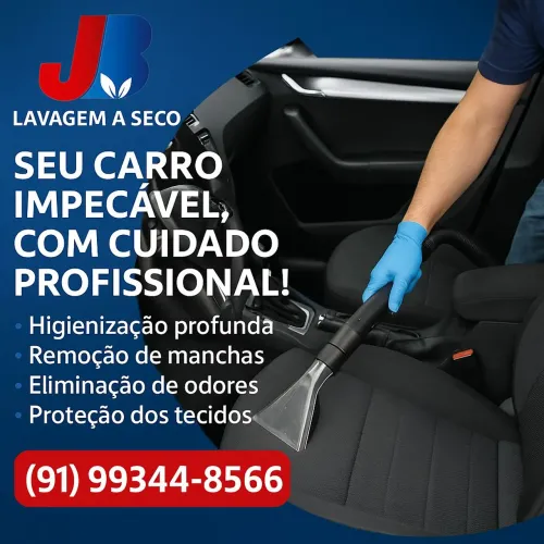 Limpeza de Carro