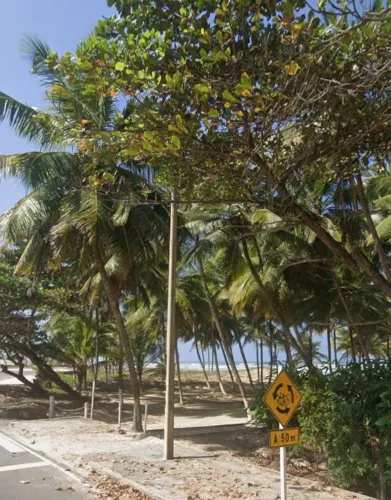 Restaurante pé na areia Mosqueiro