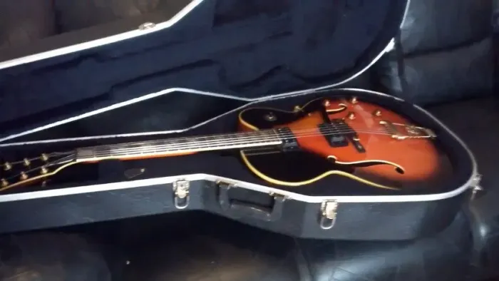 Guitarra Jazz Semi Acústica Assinatura Larray Coryell Lc2 - Cort