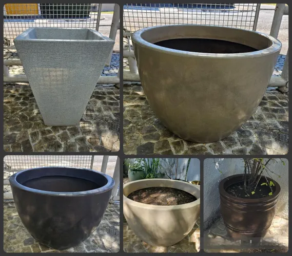 Vasos de planta