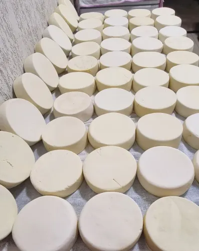 Queijo curado de leite de Búfala