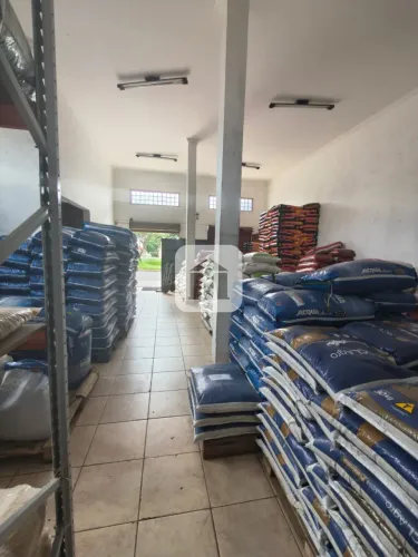 Sobreloja para venda no bairro Santa Rosa