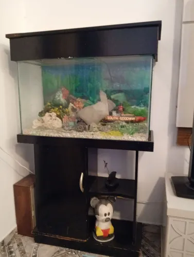 Vendo aquario