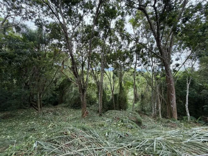 Terreno a venda 4800m² Canto Lamim proximo a Jurere.