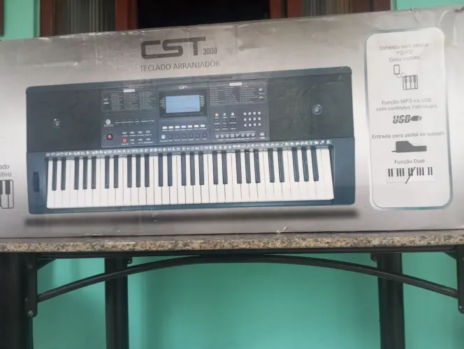 Vendo Teclado arranjador CST300 Custom Sound