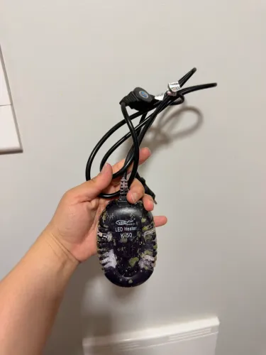 Termostato Aquecedor Hopar K-50 75W para Aquários até 75L