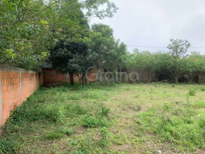 Terreno para Venda em Florianópolis, São João do Rio Vermelho