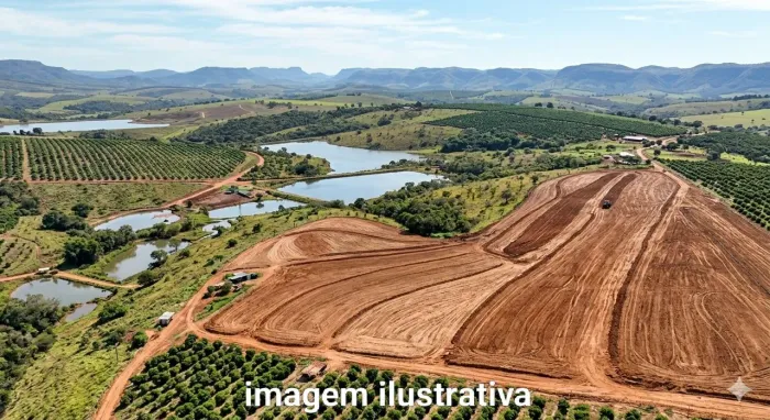 ARRENDA 1.000HEC PRA PLANTAR CAFE OU LARANJA 