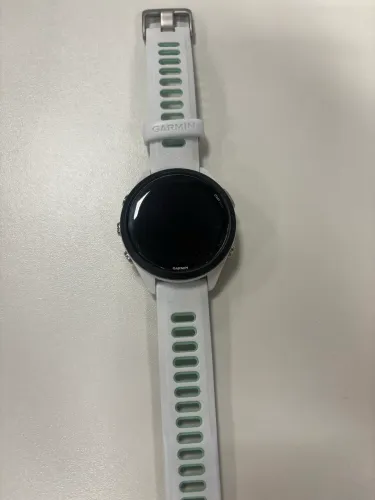 Garmin 265s