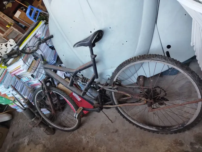 bicicleta