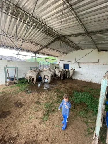 Fazenda 4 quartos - Mar de Espanha