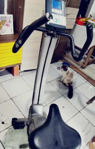 Troco por esteira, uma bicicleta ergométrica para uso continuo em casa. Em otimo estado!