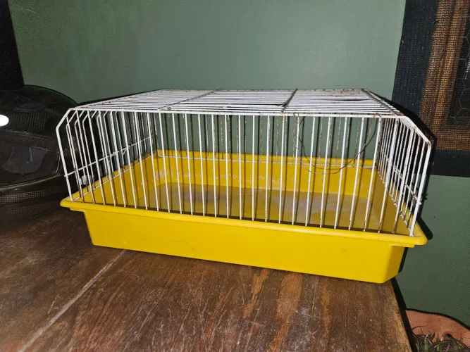Gaiola para coelhos/ porquinho da Índia ( indicada para transporte)