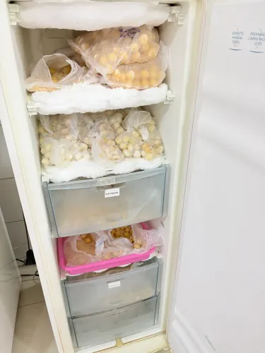 Freezer Vertical Elegance FC23