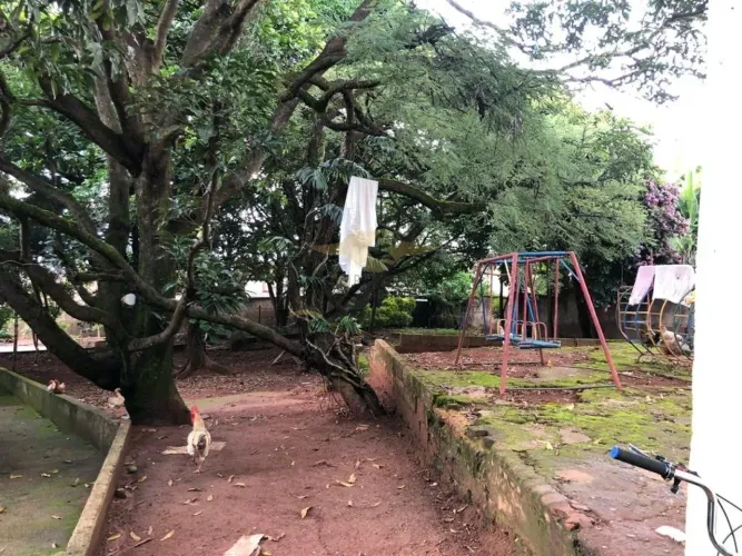 Excelente lote na Pampulha