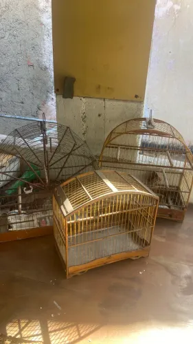 GAIOLAS