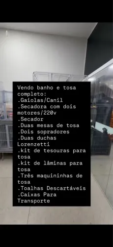 Banho e tosa completo 