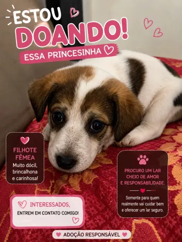 DOA-SE DUAS CACHORRINHA