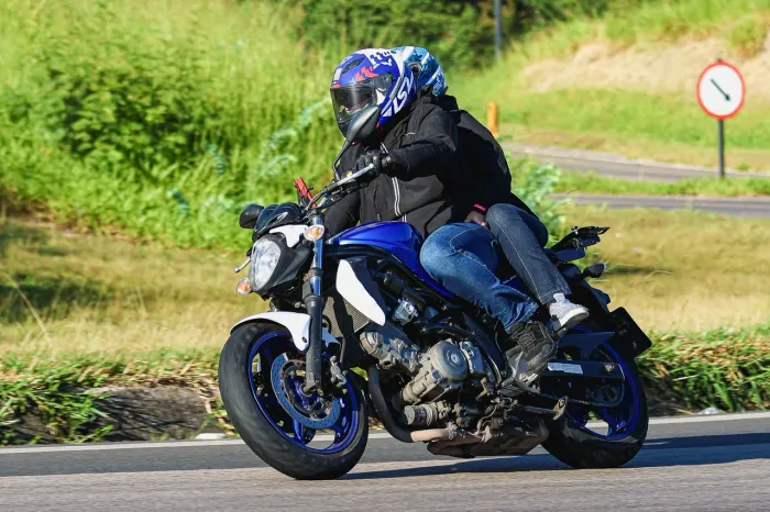 Suzuki Gladius 650
