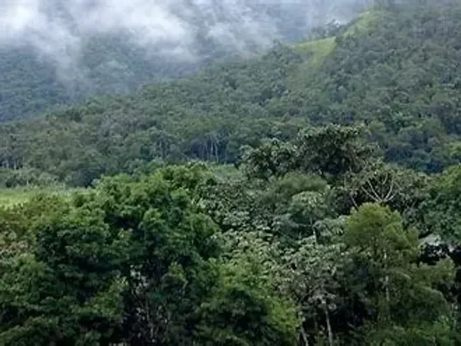 Imóvel para venda tem 380000000 metros quadrados em Centro - Pauini - AM
