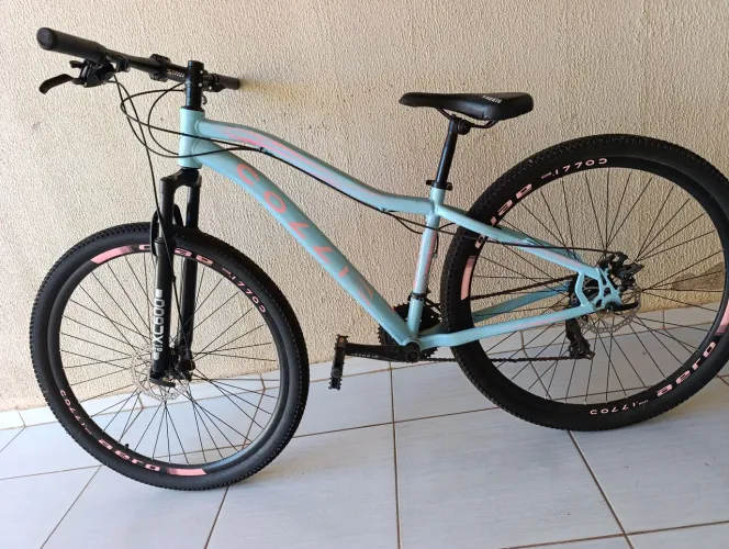 Bike colli aro 29