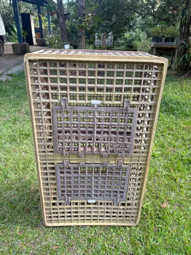 Caixa para transportar Frango
