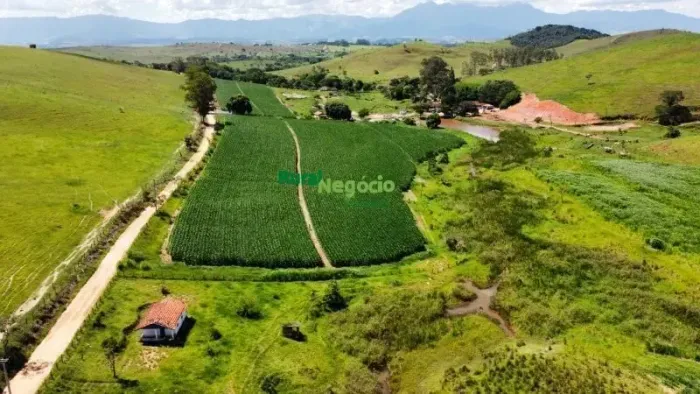 FAZENDA PARA CRIAÇÃO DE GADO ( CORTE E LEITE )