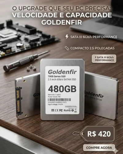 SSD Goldenfir T800 de 480GB ULTIMAS UNIDADES