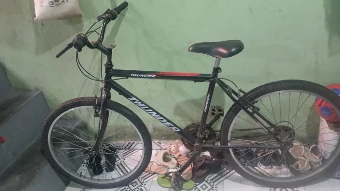 Bicicleta