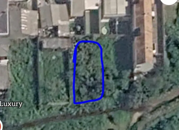 Terreno eucaliptos