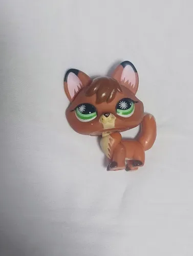 Pet litlle raposa