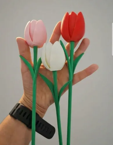 TULIPAS COLORIDAS 3D - 3 PEÇAS 
