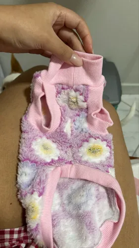 Roupa Pet 