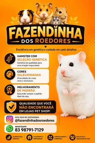 Hamster Sírios