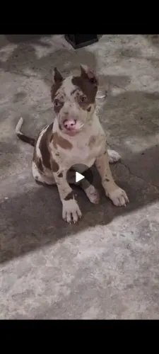 Pit monster