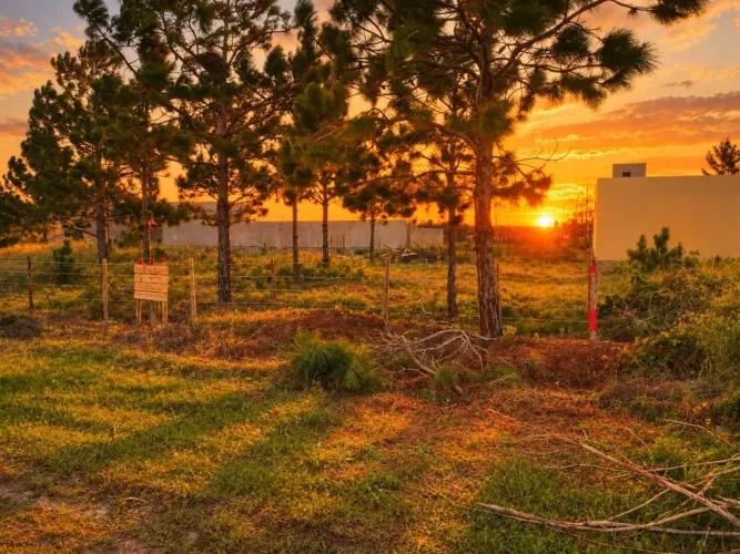 Preço de ocasião 250m do mar Terreno escriturado 390m² de área. Oportunidade para investi