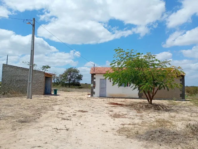 Sítio 2hectares em São Vicente do Seridó/PB