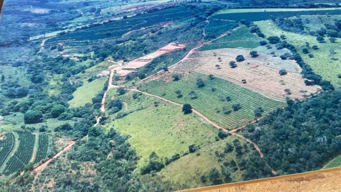 Fazenda cafeeira artesanalTrata