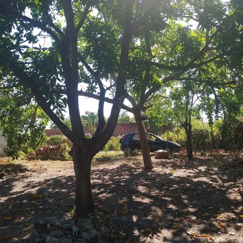 Terreno em Barreirinhas no são Roque