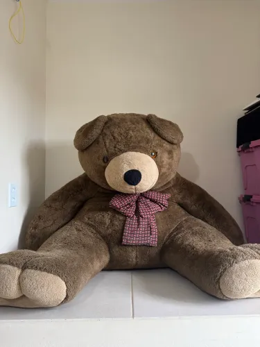 Urso Gigante