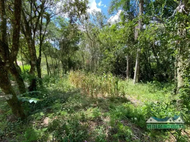 Velleda oferece espetacular terreno em Águas Claras, Viamão, lindo e arborizado de 1000m²