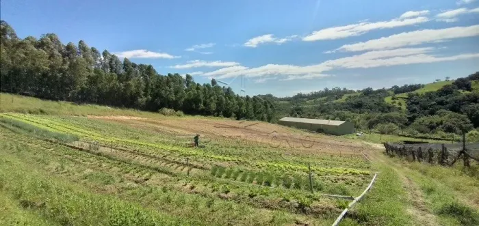 AREA DE 7.978,50 M² Aparecidinha