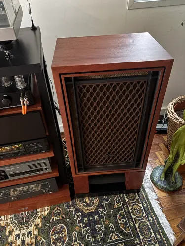 Akai SW 155 + pedestais
