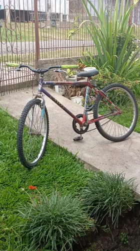 Bike aro 26 Caloi aluminum