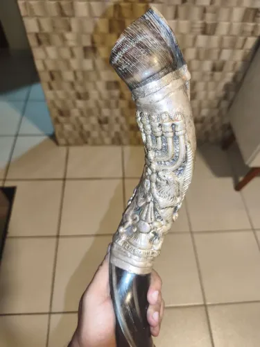 Shofar yemenita kudu original de Jerusalém